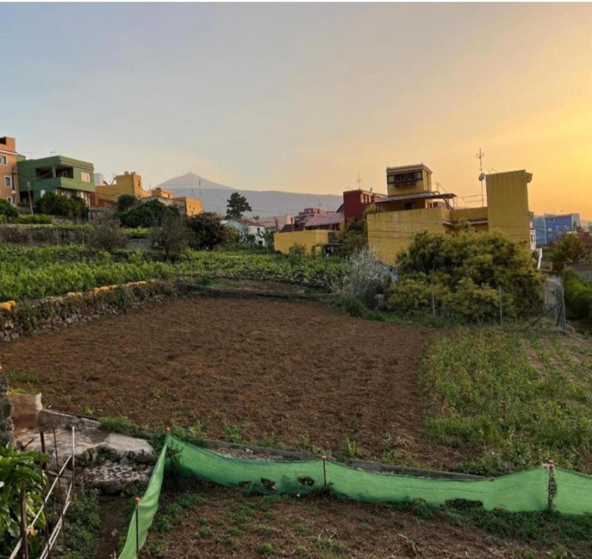 Vivienda Vacacional Ca Na Paula La Orotava Exteriér fotografie