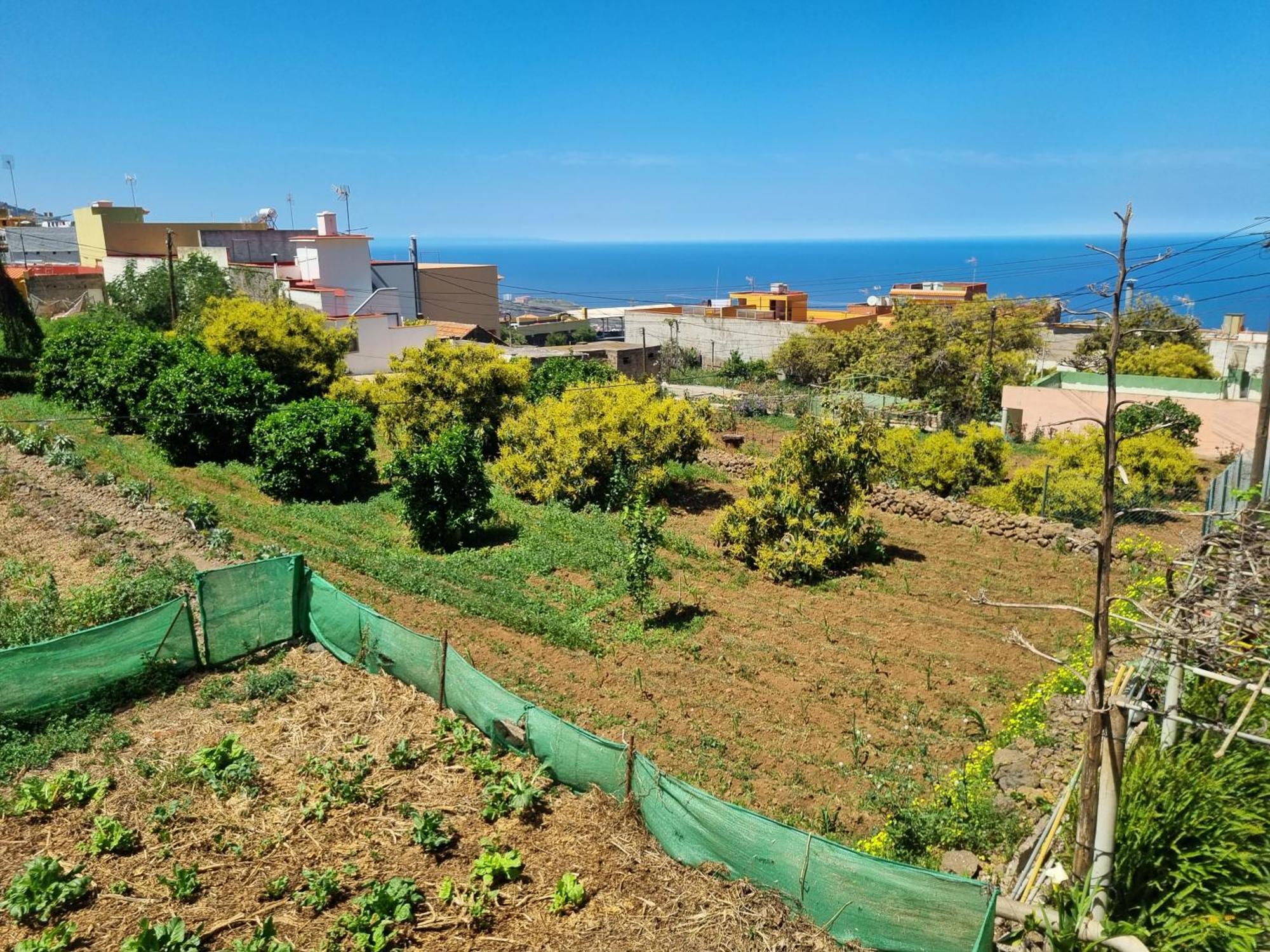 Vivienda Vacacional Ca Na Paula La Orotava Exteriér fotografie