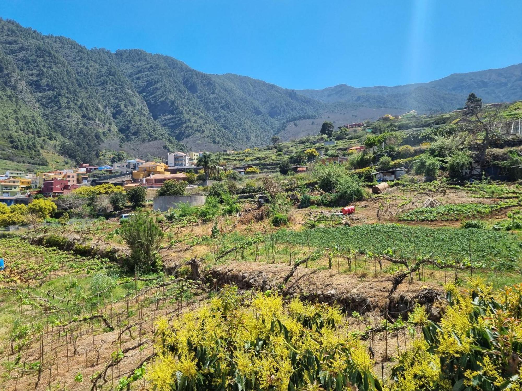 Vivienda Vacacional Ca Na Paula La Orotava Exteriér fotografie