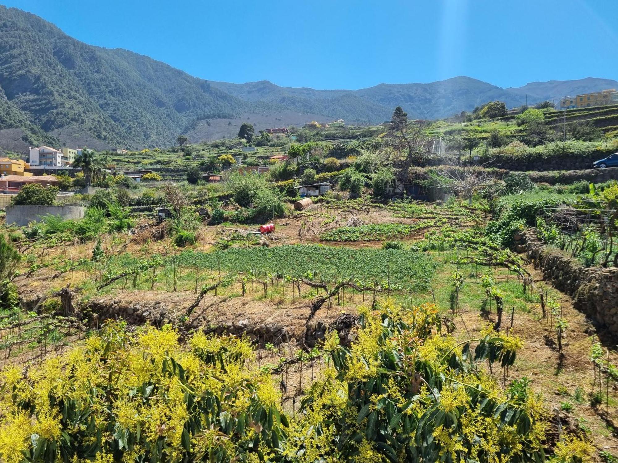 Vivienda Vacacional Ca Na Paula La Orotava Exteriér fotografie